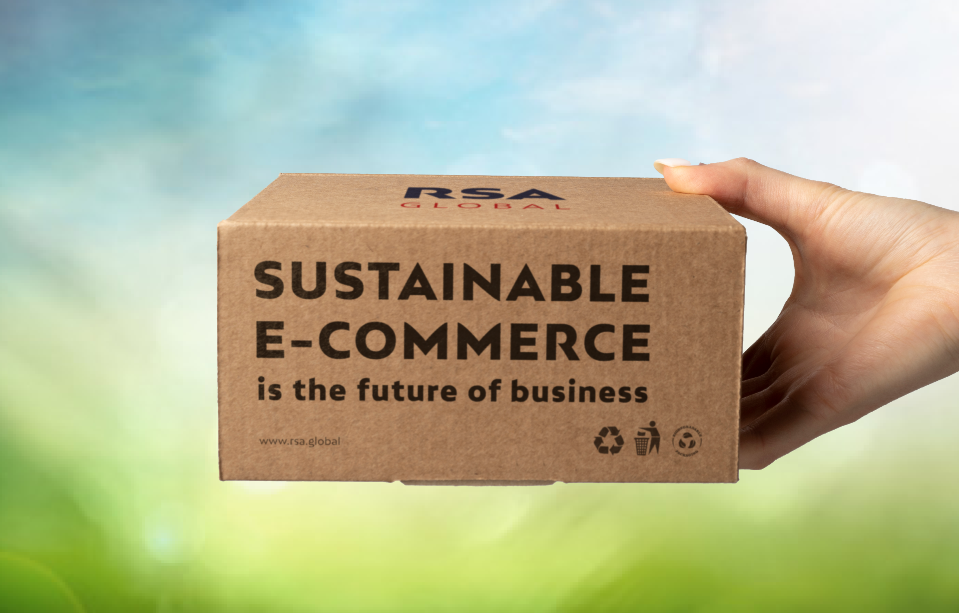 Sustainable E-commerce Practices